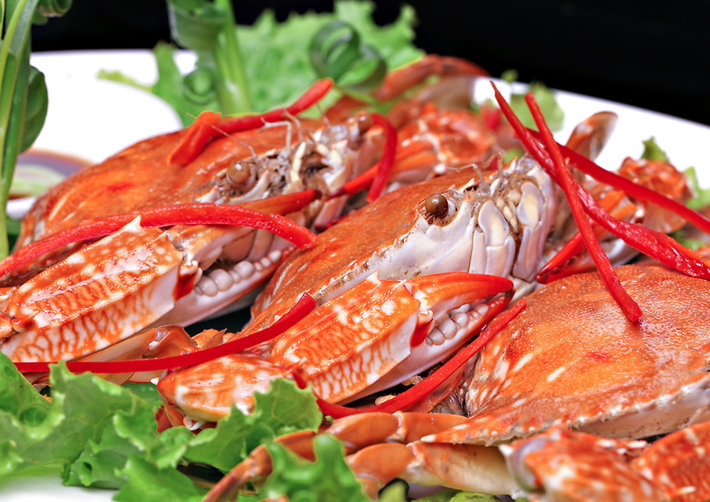 S-Hải Tiến – Một trong những nhà hàng ngon biển Hải Tiến bạn không thể bỏ qua